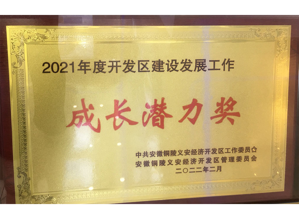 成長潛力獎